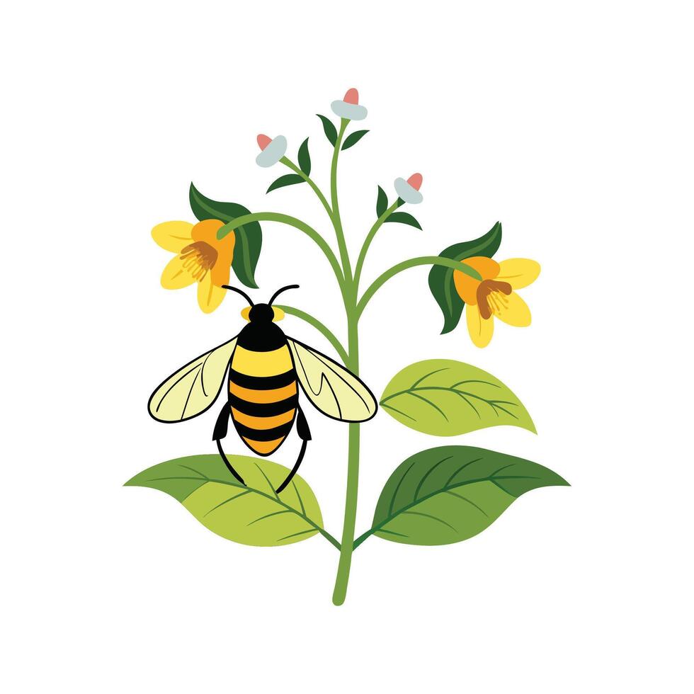 Charming Bumblebee Plant Mimulus vector