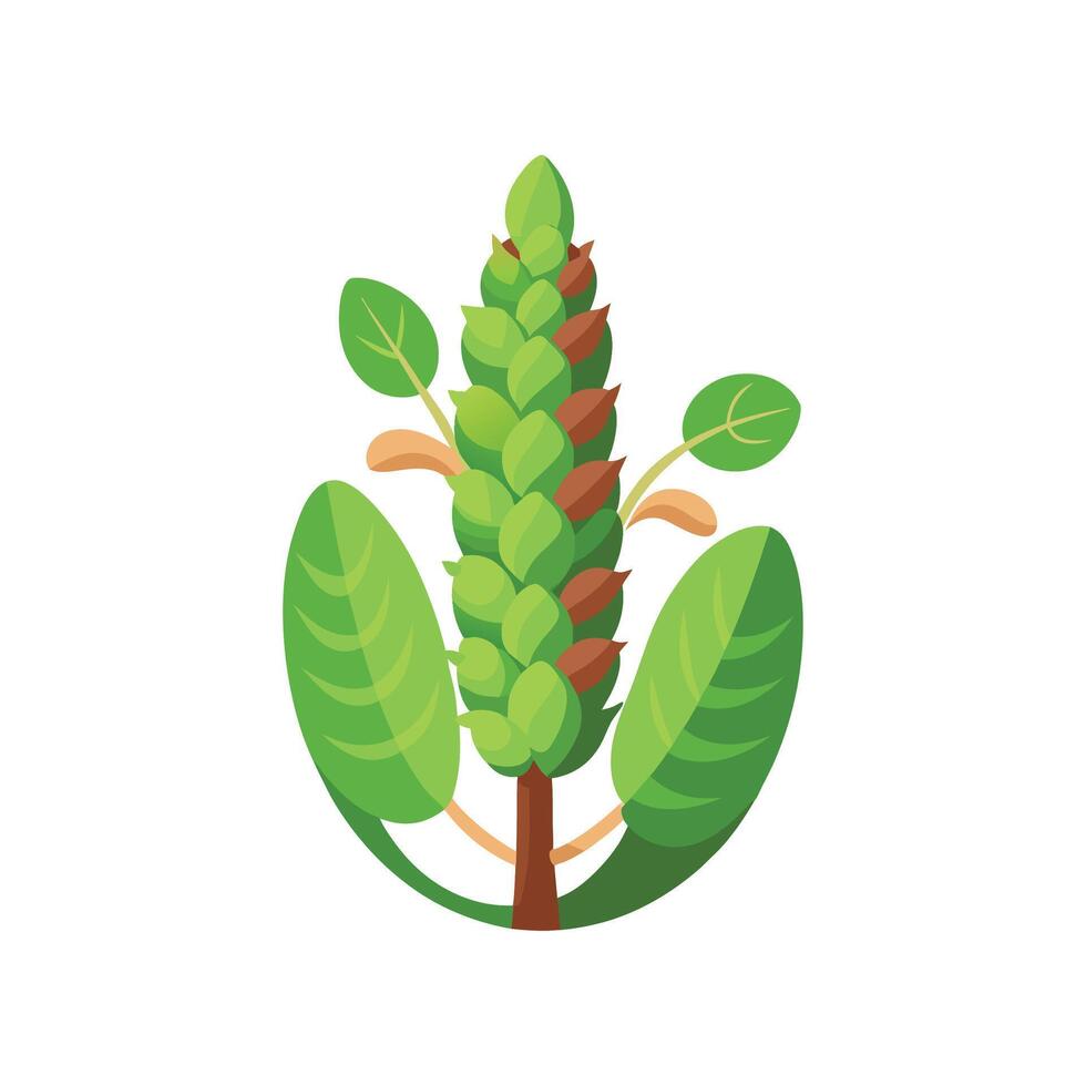 Charming Burro's Tail in Bloom vector
