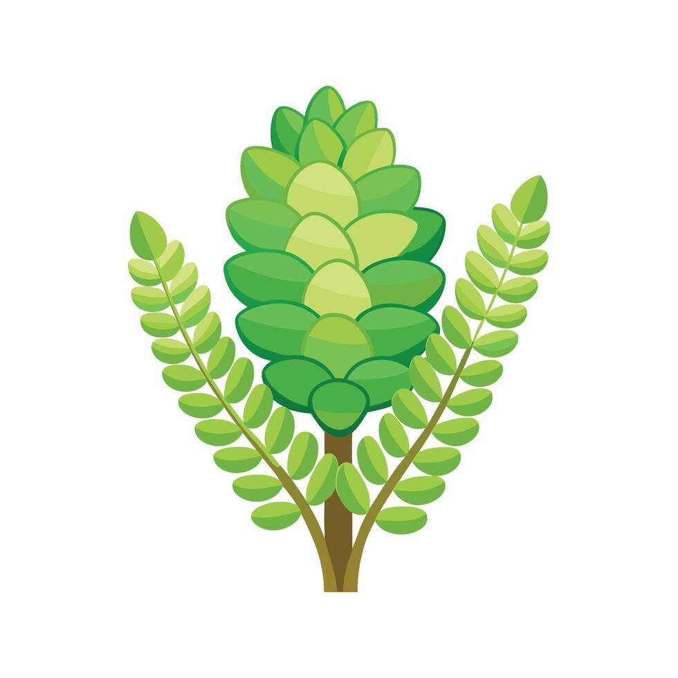Unique Sedum Morganianum Burro's Tail vector