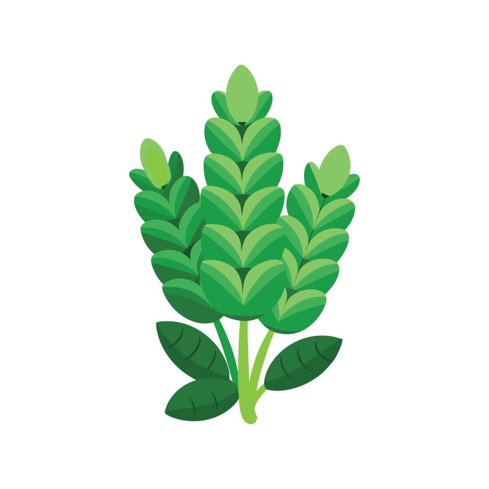 Vibrant Burro's Tail Plant Design vector