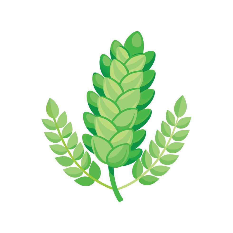 Vibrant Sedum Morganianum Burro's Tail vector