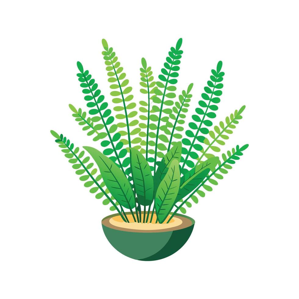 Charming Button Fern Plant Design vector