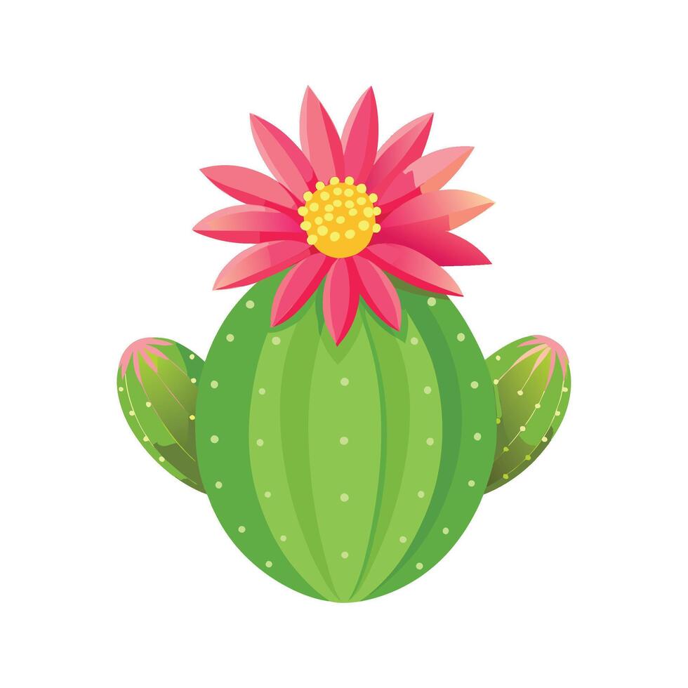 Stunning Echinopsis Cactus Flower vector