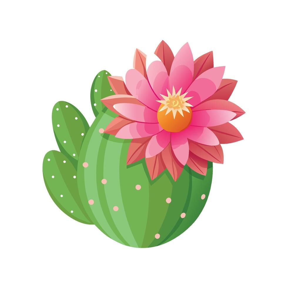 Vibrant Cactus Flower Echinopsis Design vector