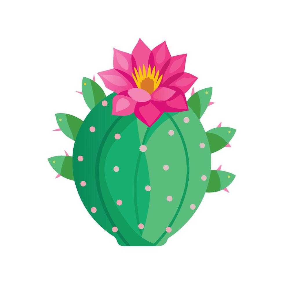 Elegant Echinopsis Cactus Flower vector