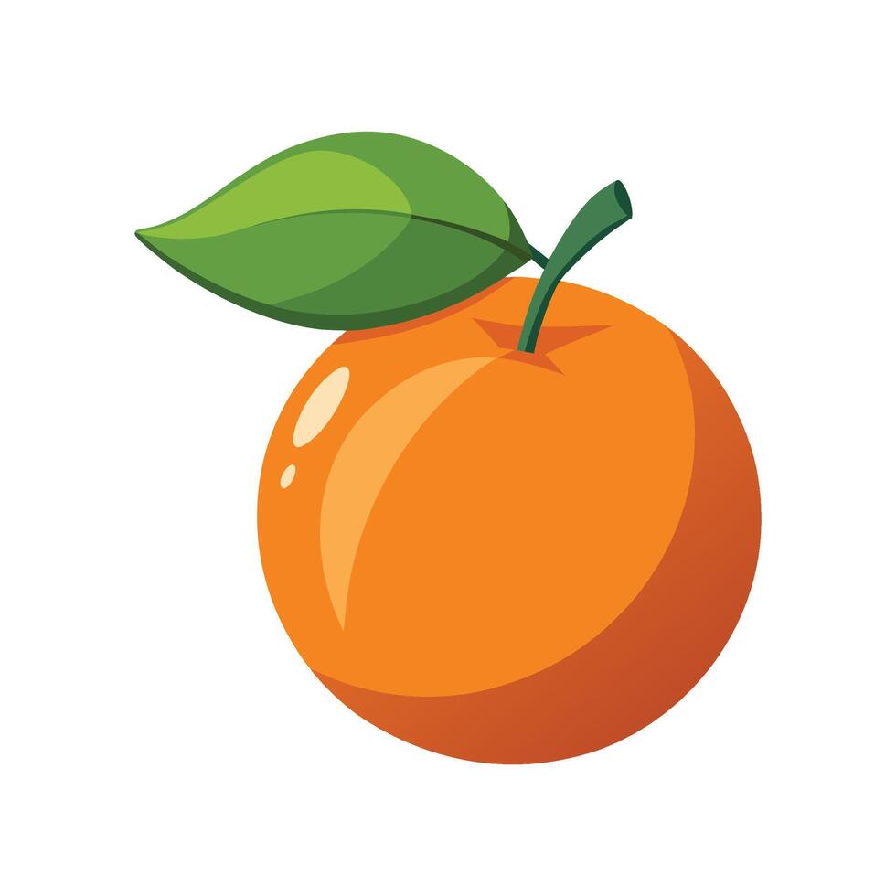 Elegant Calamondin Orange in Nature vector