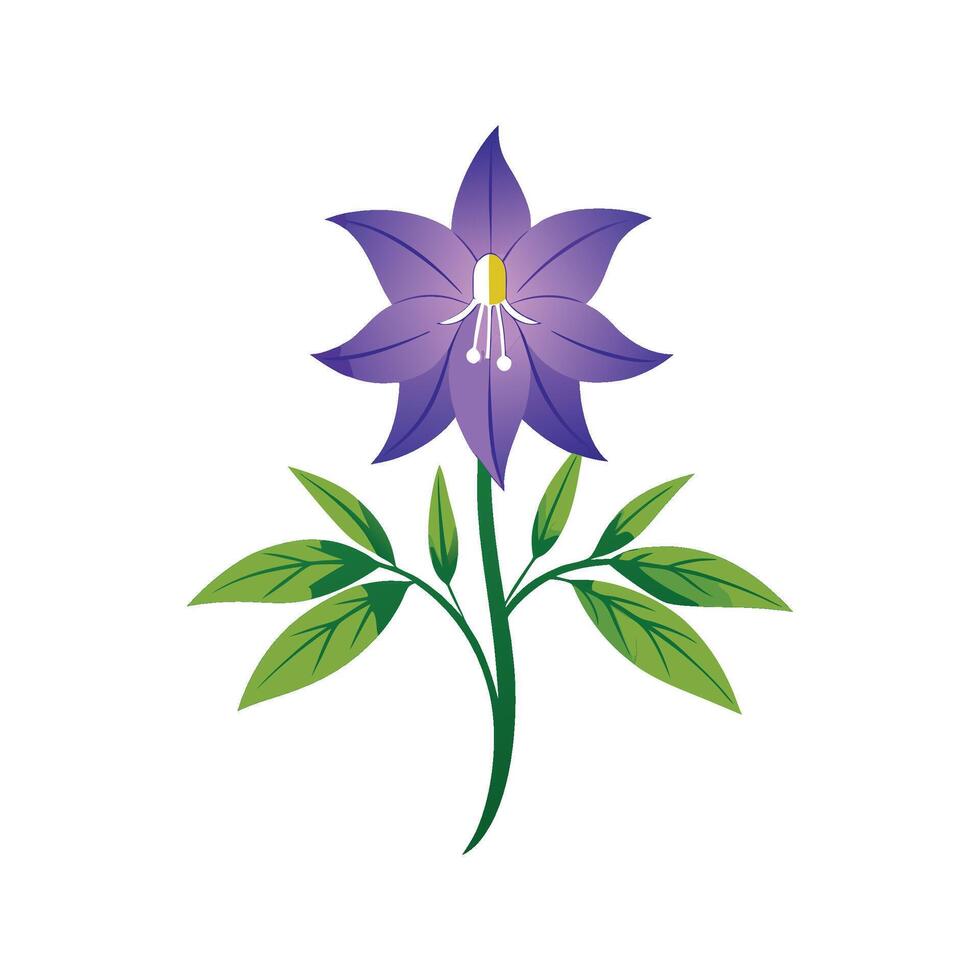 Stunning Campanula Plant Design vector