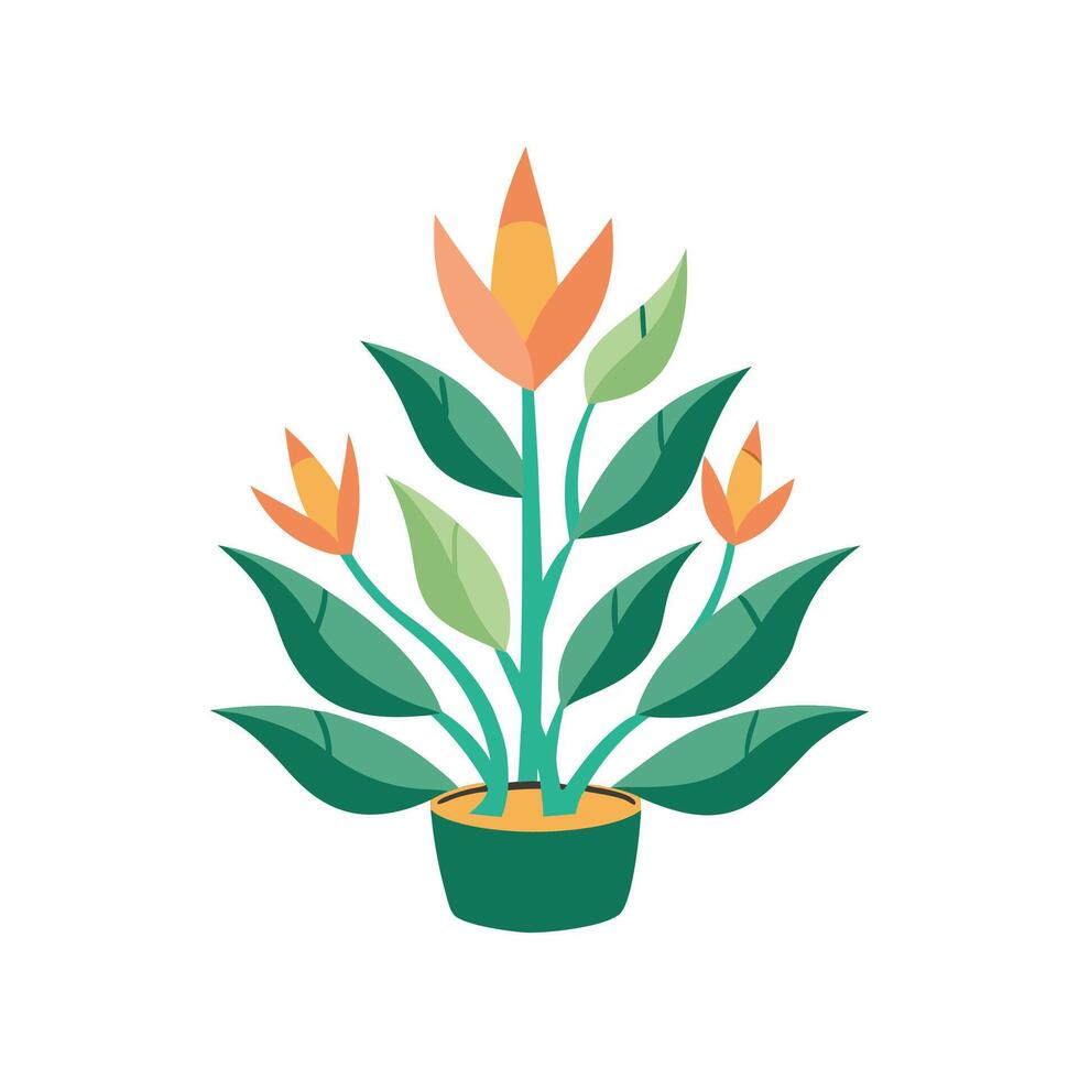 Nutritious Candle Plant Senecio for Gardens vector
