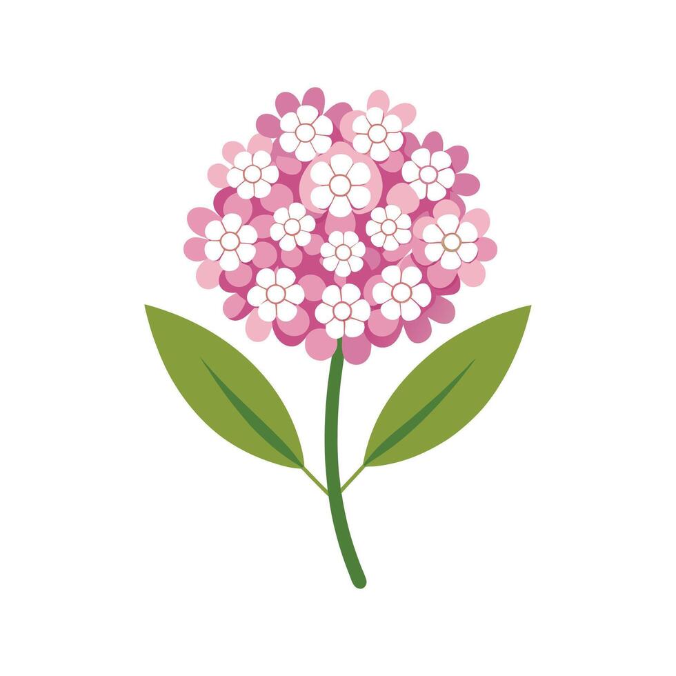 Charming Candytuft Plant Design vector
