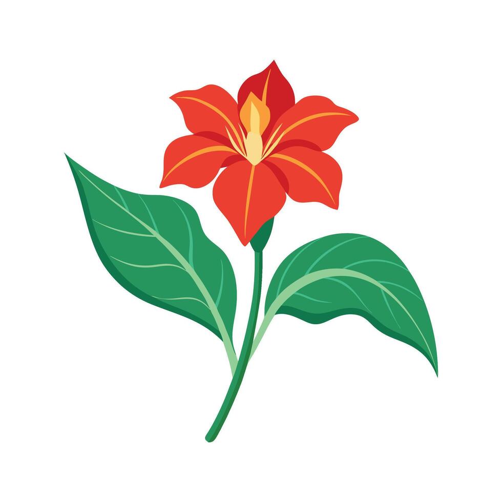 Elegant Canna Lily Plant Design vector