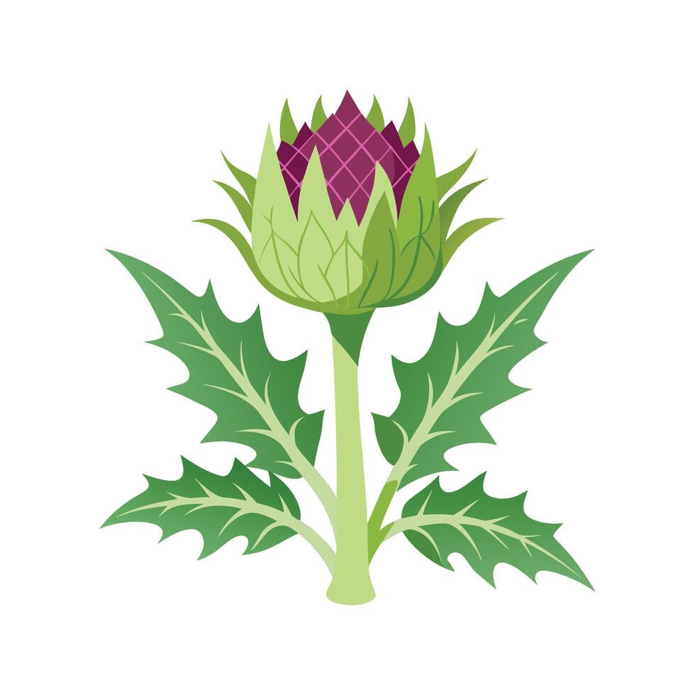 Vibrant Cardoon Plant Design vector