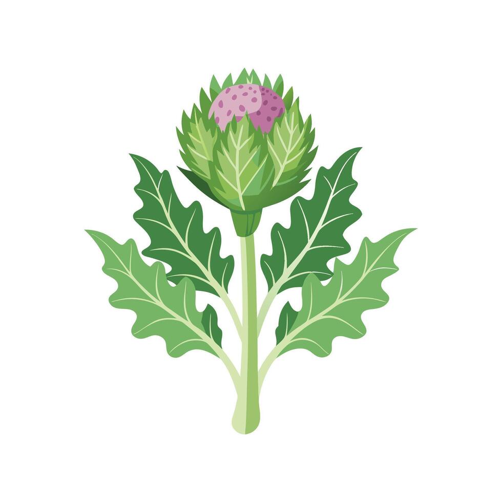 Charming Cardoon Plant Design vector