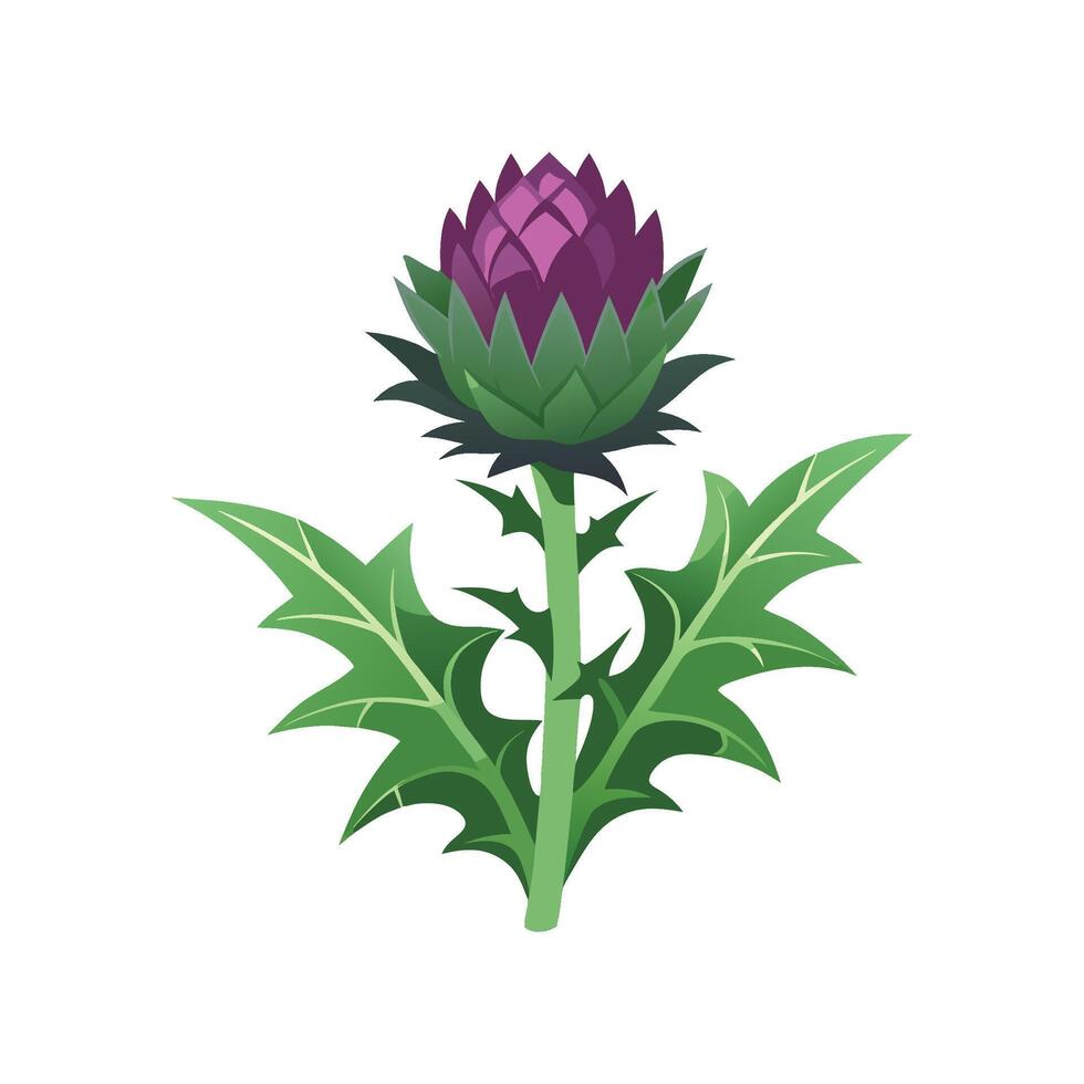Stunning Cardoon Plant in Bloom vector