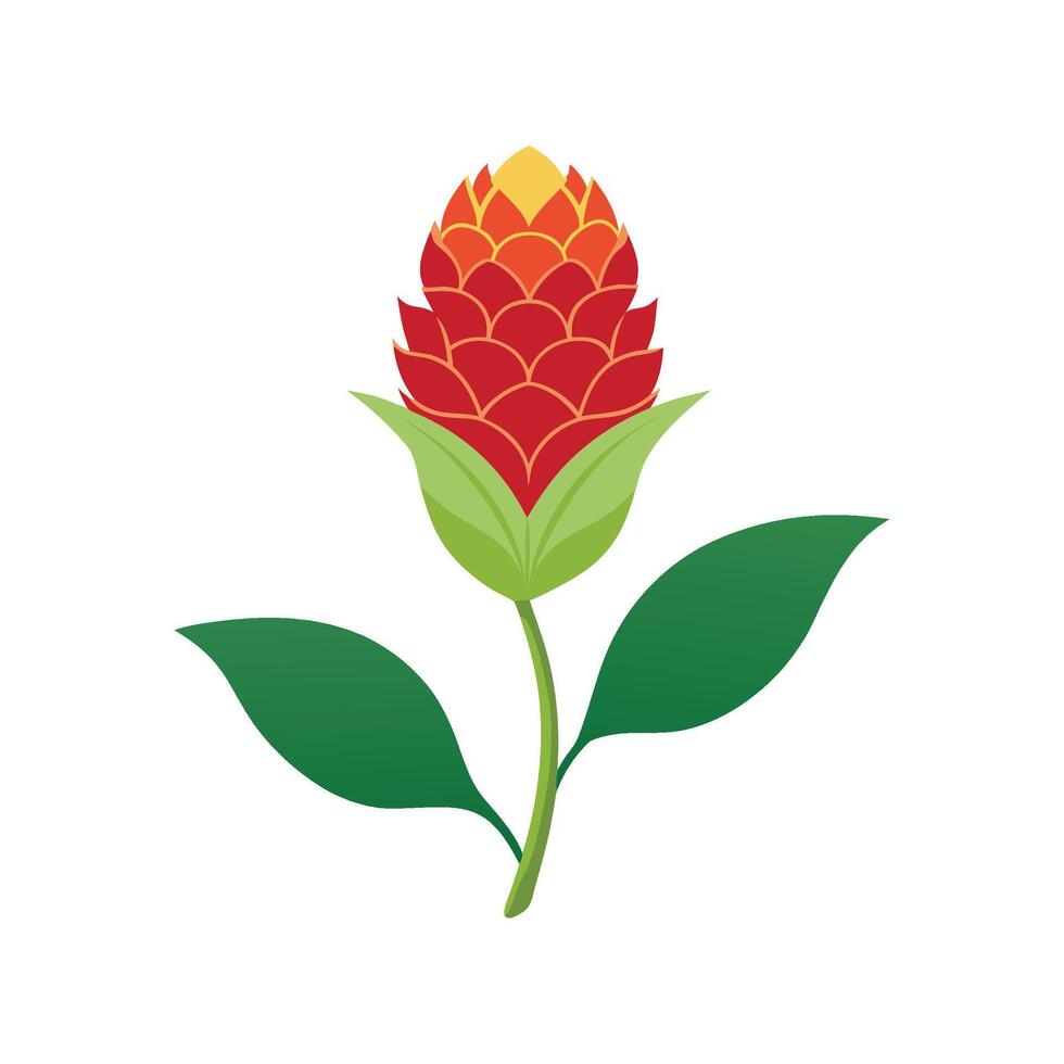 Charming Celosia Plant in Bloom vector