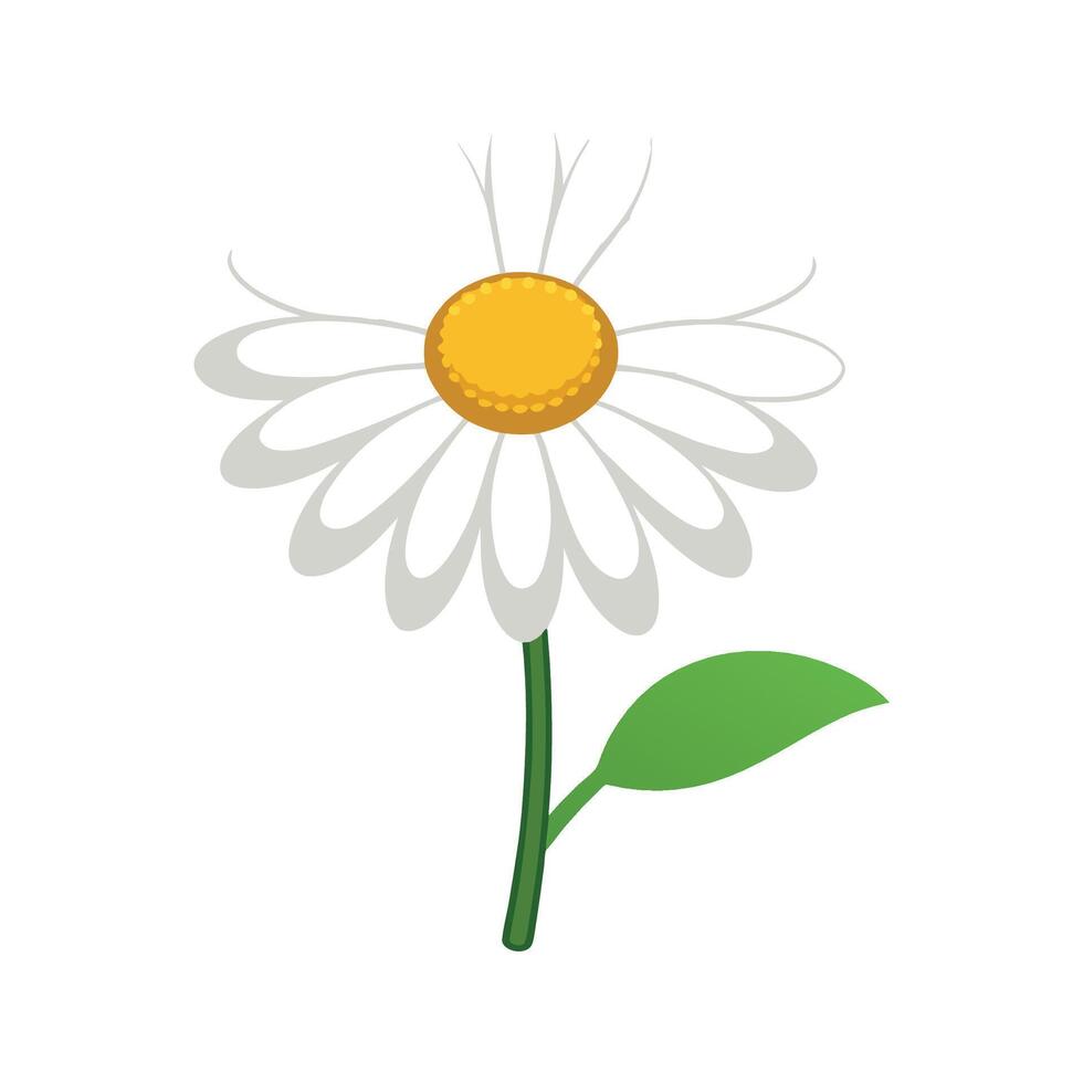 Elegant Chamomile Plant Design vector