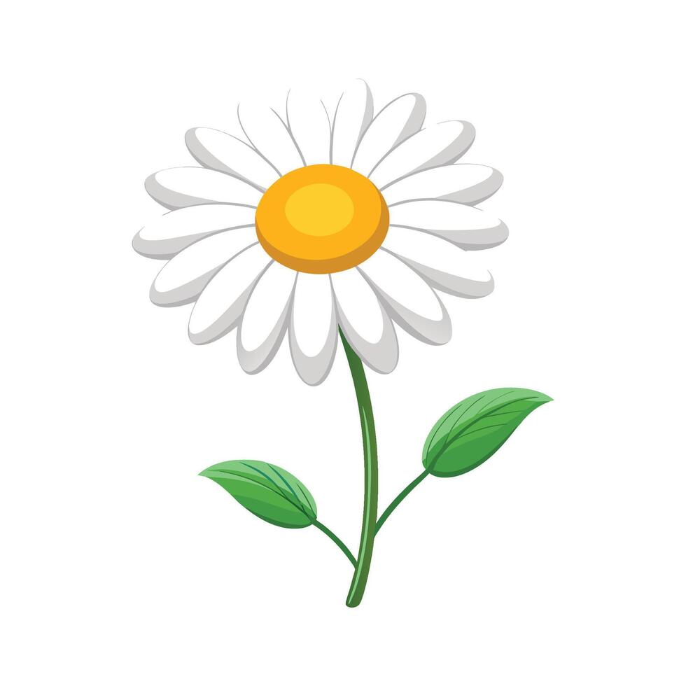 Charming Chamomile Plant for Gardens vector