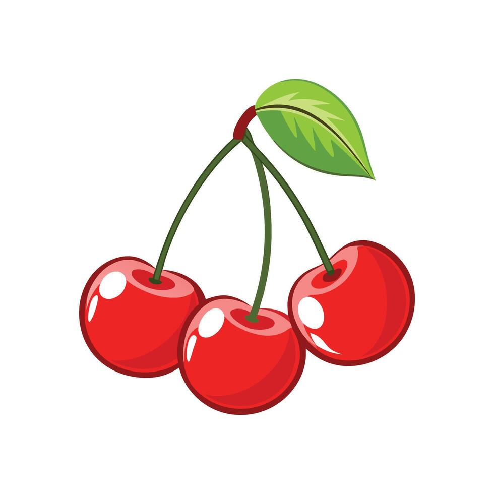Fresh and Juicy Cherries on Branch vector