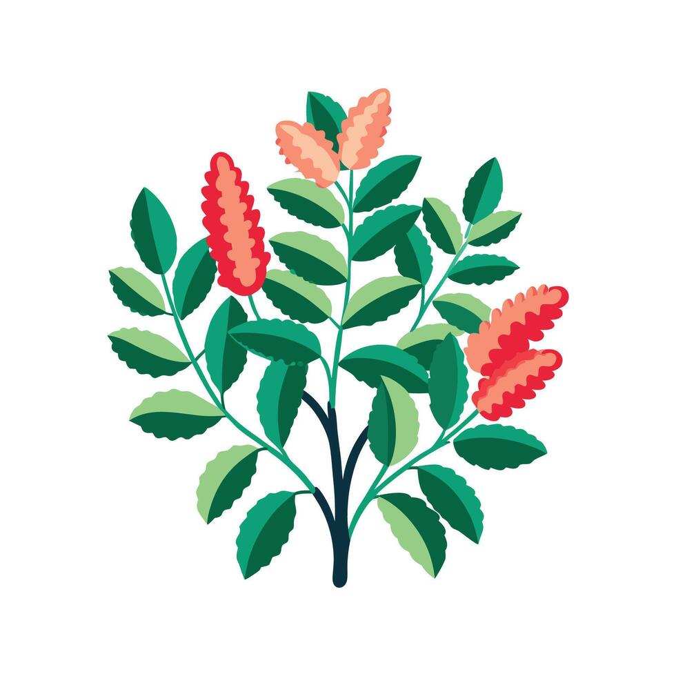 Vibrant Chenille Plant Design vector