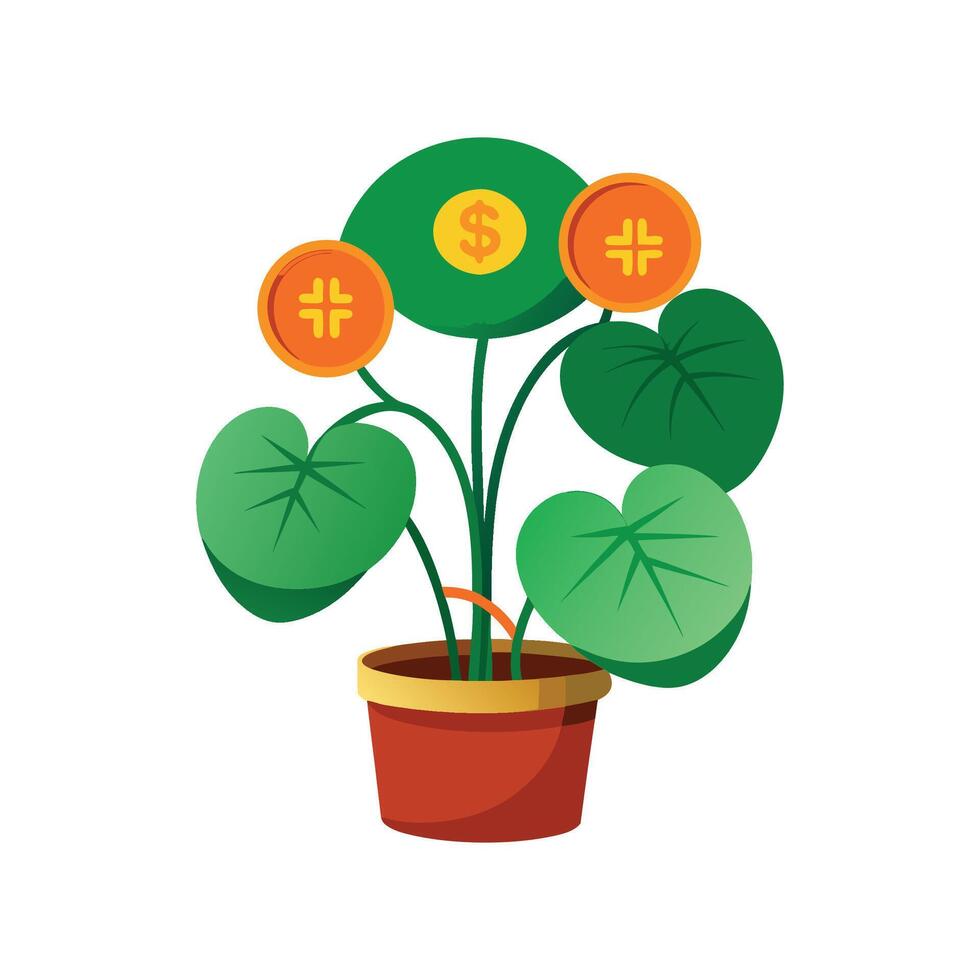 Vibrant Chinese Money Plant in Bright Room vector