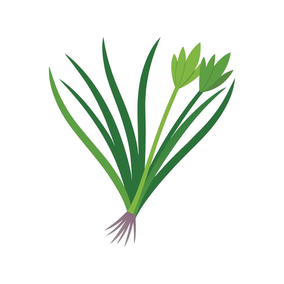 Vibrant Chives Adding Flavor to Dishes vector