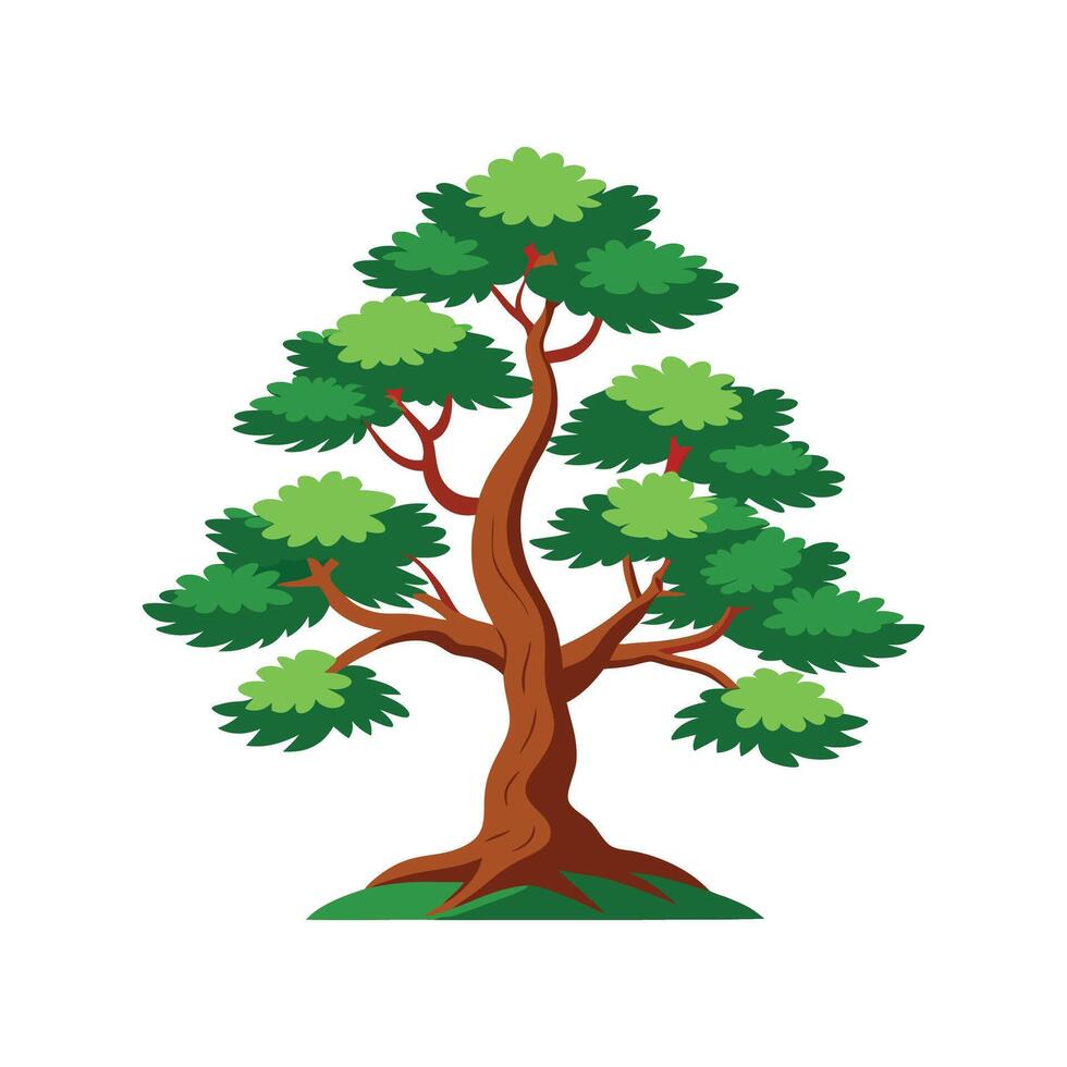 Stunning Chinese Pine Tree in Serene Environment vector
