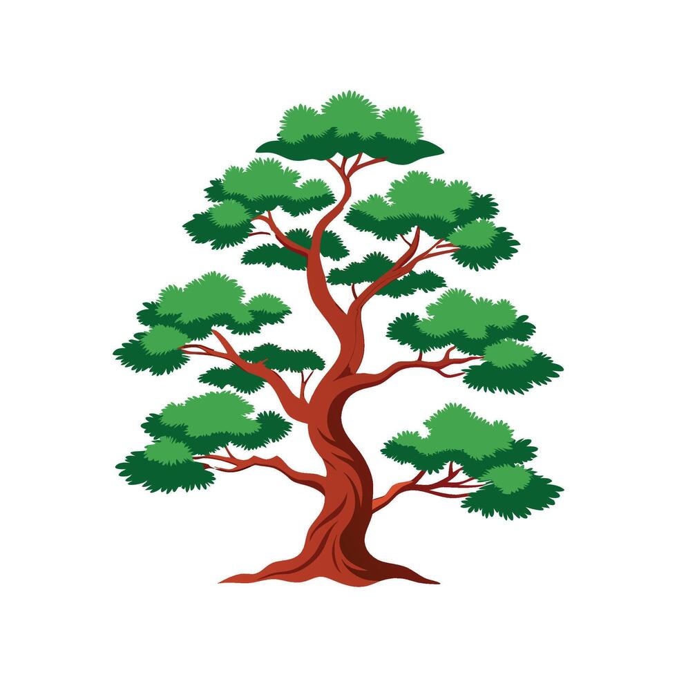 Beautiful Chinese Pine Tree for Garden Design vector