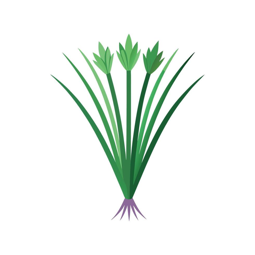 Fresh Chives Ready for Culinary Use vector