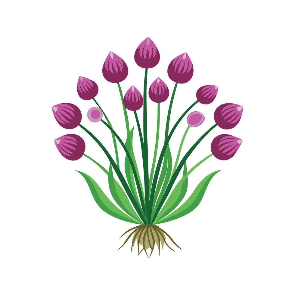 Charming Allium Chives Enhancing Fresh Meals vector
