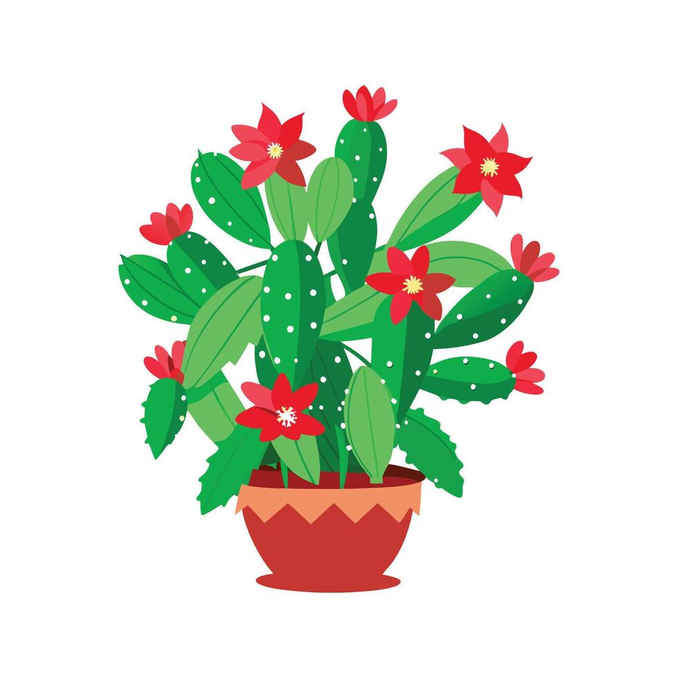 Elegant Schlumbergera Christmas Cactus for Holiday Decor vector