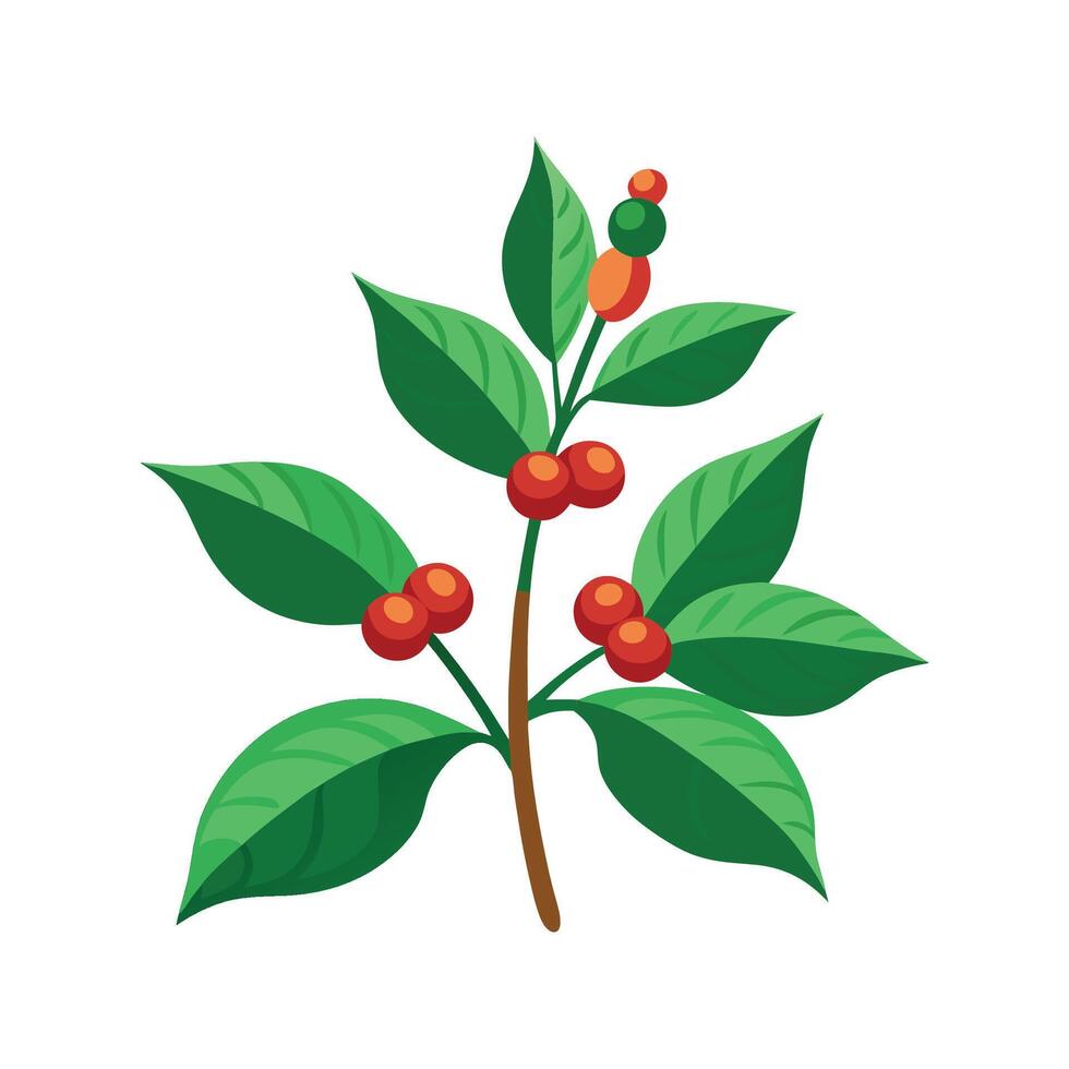 Vibrant Coffee Plant in Tropical Setting vector