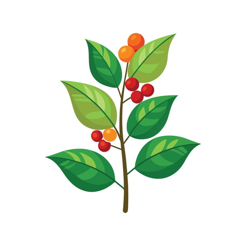 Stunning Coffee Plant with Lush Foliage vector
