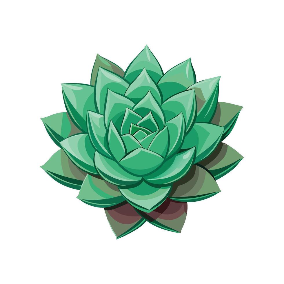 Charming Common Houseleek Adding Greenery to Garden vector