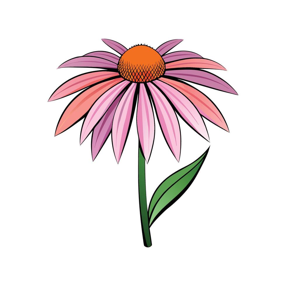 Stunning Coneflower Showcasing Bright Colors vector