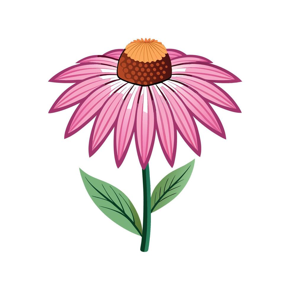 Elegant Coneflower Enhancing Natural Beauty vector