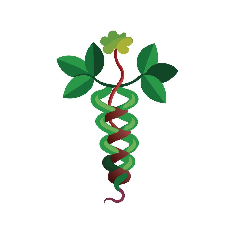 Charming Corkscrew Plant for Indoor Decor vector