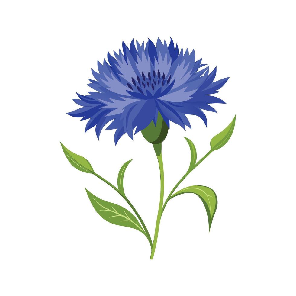 Beautiful Cornflower Adding Color to Landscape vector