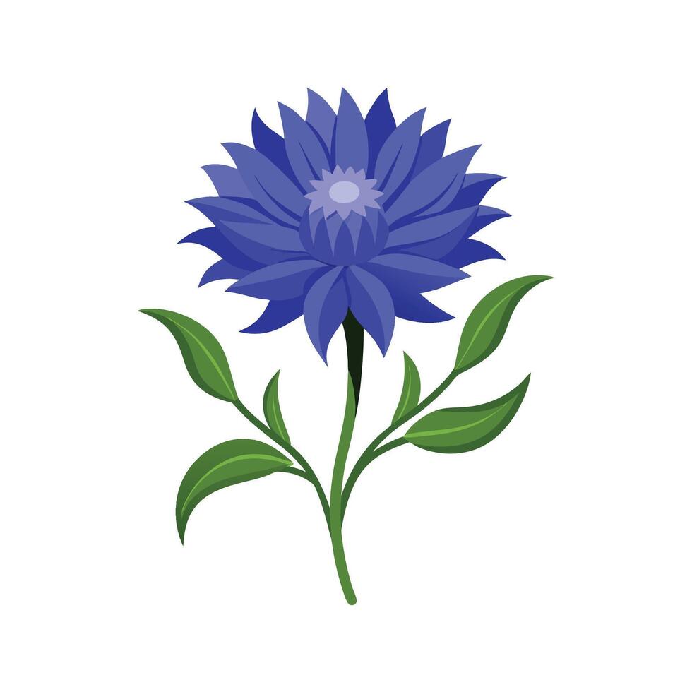 Stunning Cornflower Blooming in Vibrant Garden vector