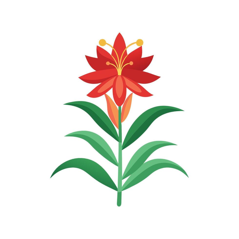 Beautiful Crocosmia Showcasing Unique Blooms vector