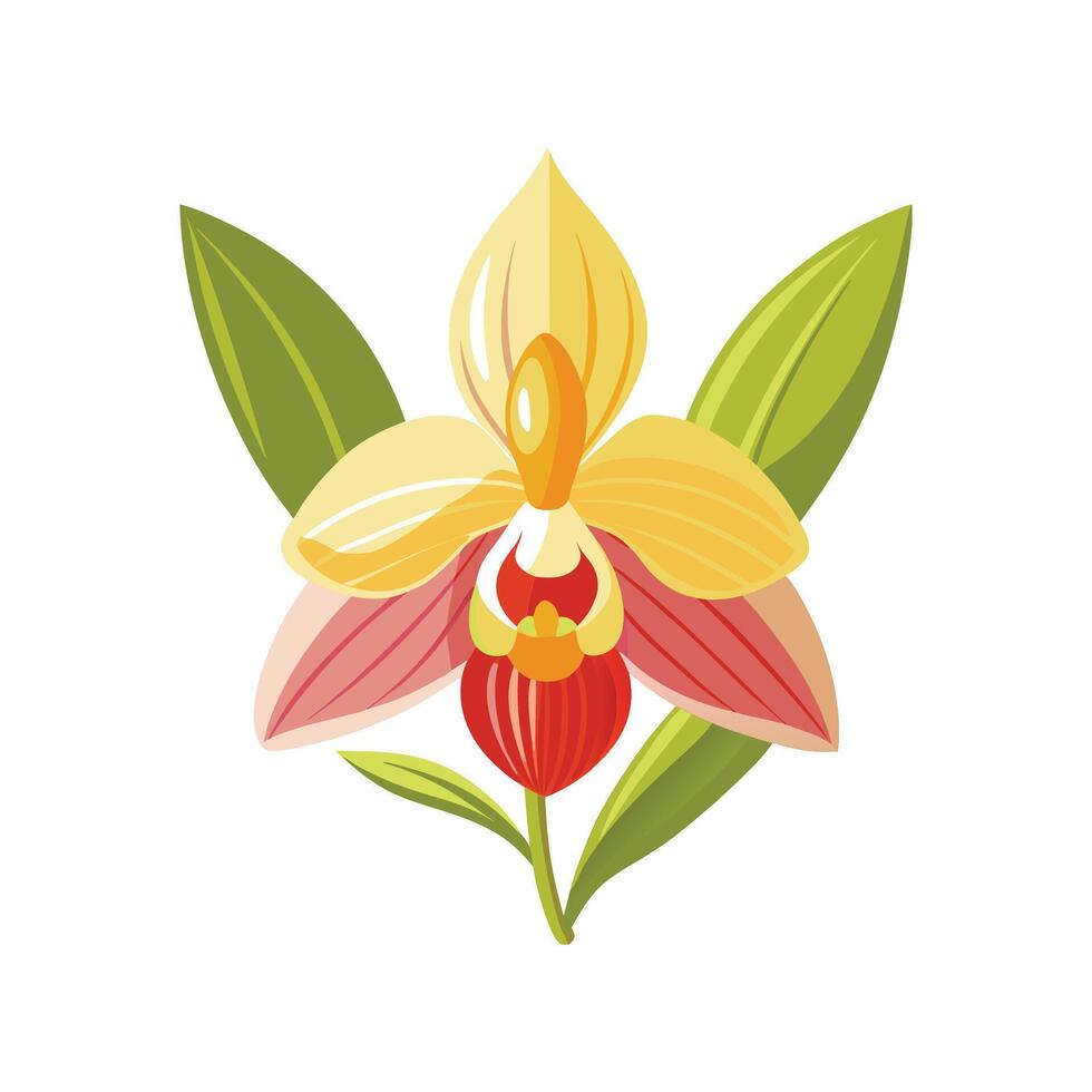 Elegant Crossbill Orchid for Exotic Gardens vector