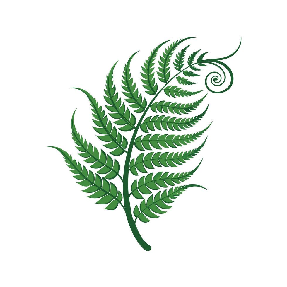 Stunning Curly Fern Showcasing Unique Foliage vector