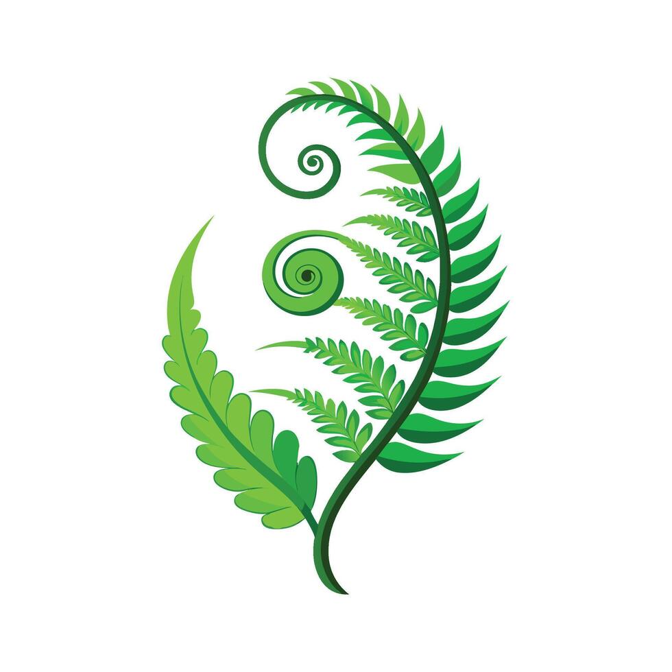 Lush Curly Fern Adding Texture to Garden vector