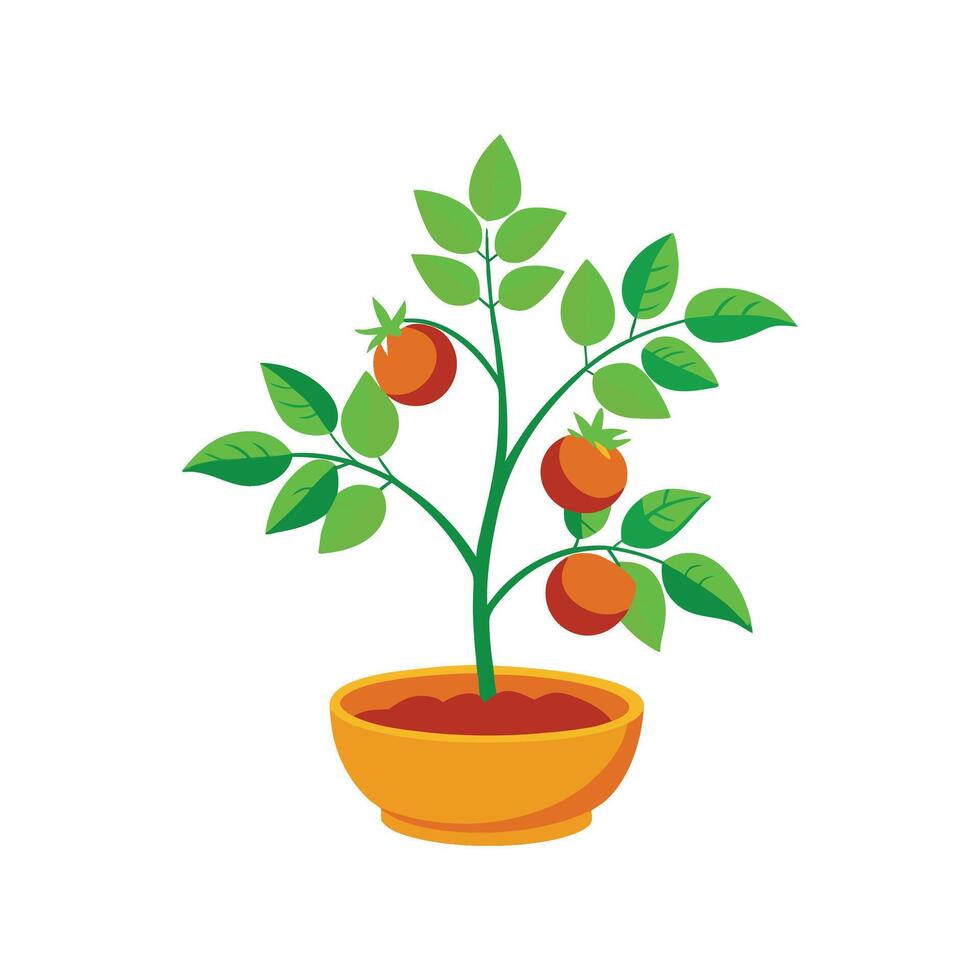 Elegant Curry Plant for Flavorful Cooking vector