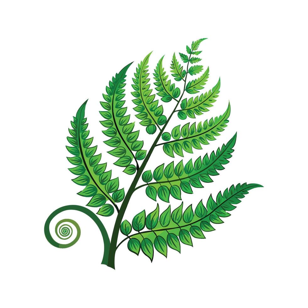 Elegant Curly Fern Enhancing Home Ambiance vector