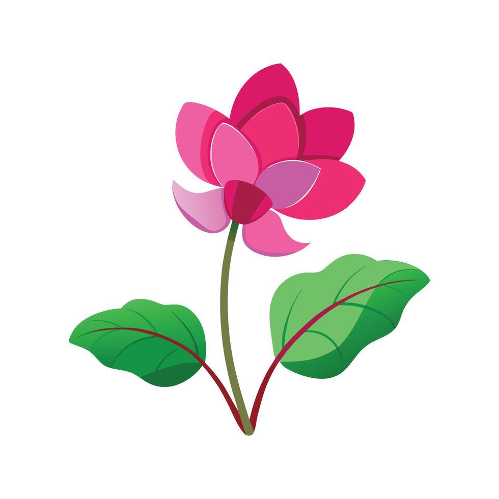 Stunning Cyclamen Showcasing Bright Colors vector