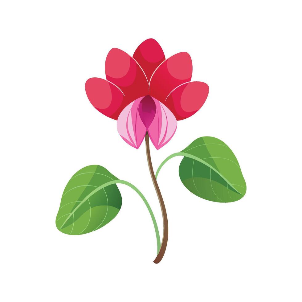 Vibrant Cyclamen Persicum Blooming in Nature vector