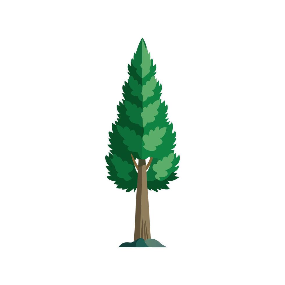 Charming Cypress for Lively Outdoor Spaces vector