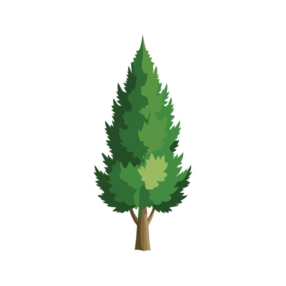 Elegant Cypress Plant Adding Character to Garden vector