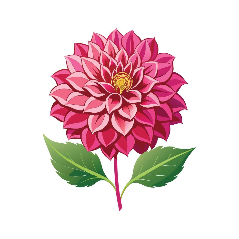 Elegant Dahlia Plant Brightening Home Decor vector