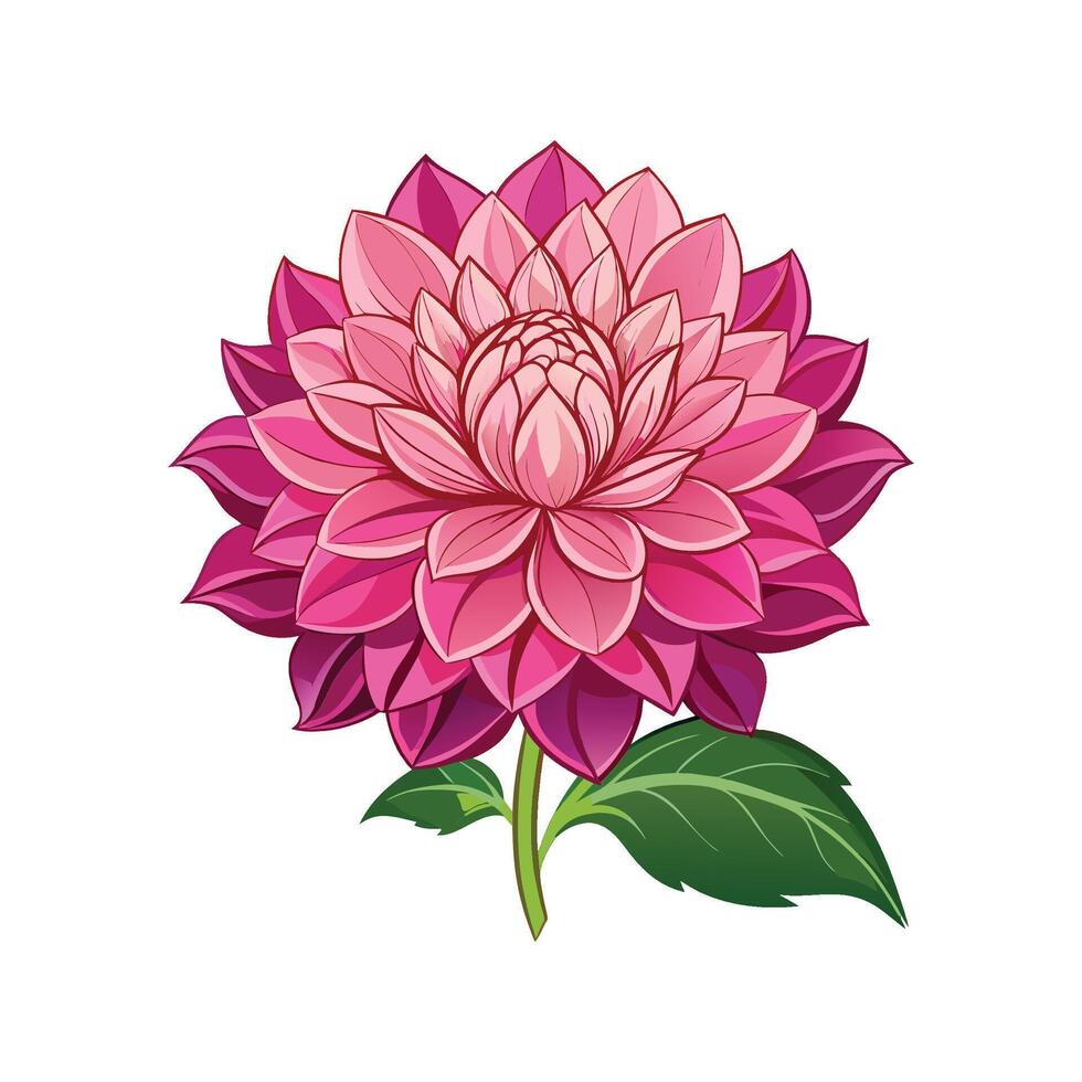 Charming Dahlia Pinnata for Colorful Gardens vector