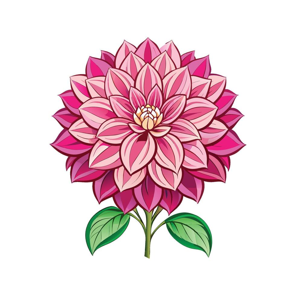Stunning Dahlia Pinnata Blooming in Garden vector